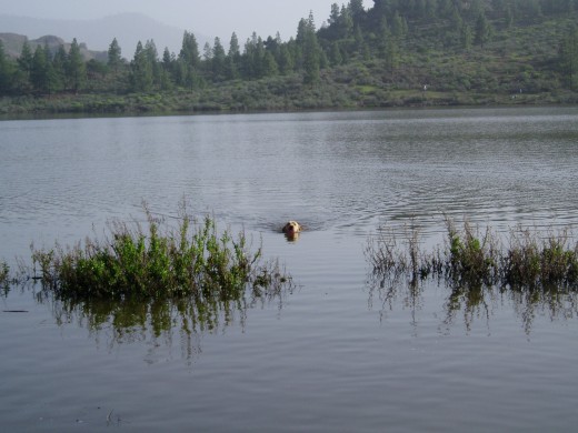 En La Presa de Las Niñas, nadando un poco!!